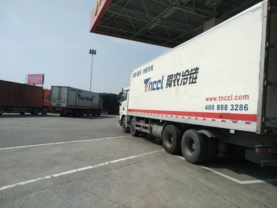 北京到杭州冷链物流公司 腾农货运 北京到杭州冷藏运输专线