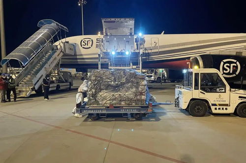 顺丰航空开通 乌鲁木齐 西宁 杭州 货运航线