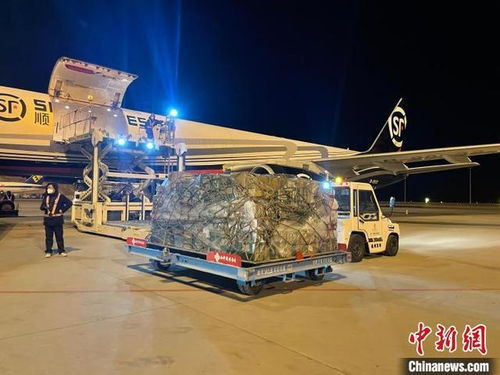 西宁机场开通西宁 杭州全货运航线